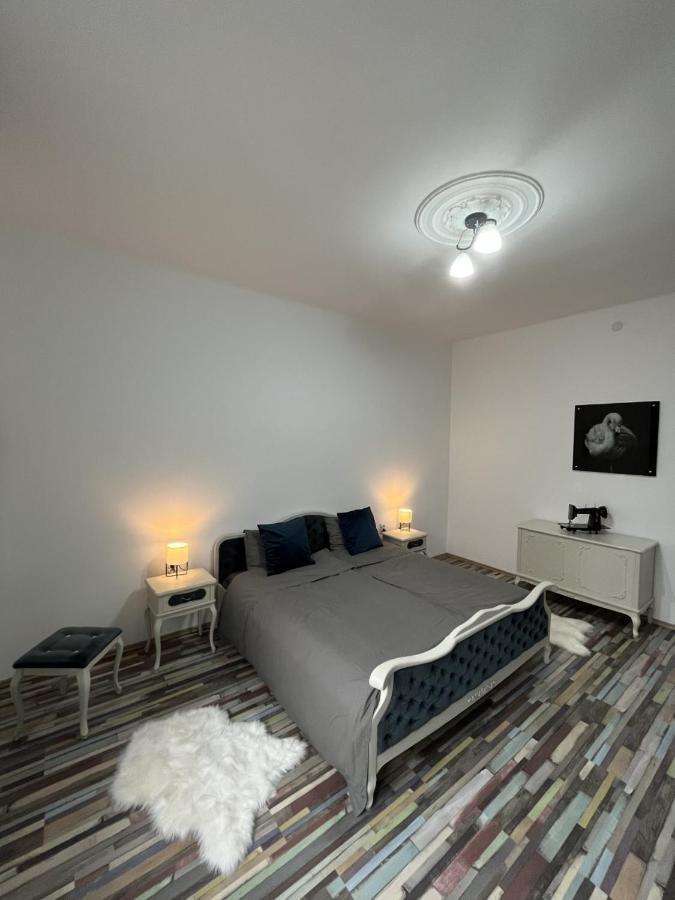 Center Retro Apartment Nis Ngoại thất bức ảnh